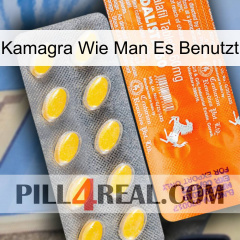 Kamagra How To Use new05